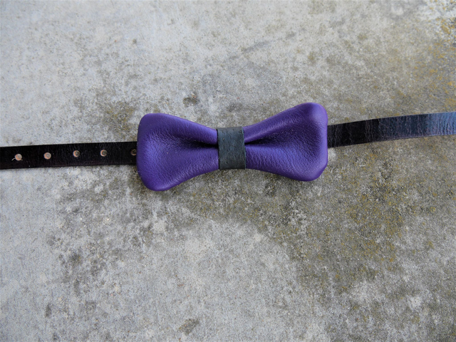 Noeud papillon Violet et Noir 