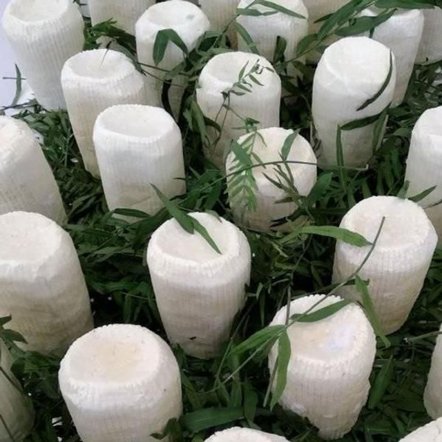 Tronchetto di pecora con foglie di falso pepe.