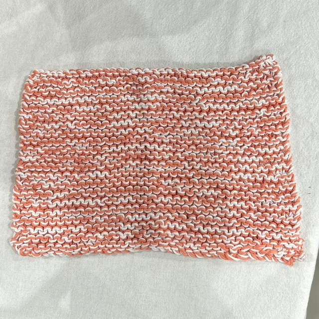 6013 Dish/ wash cloth