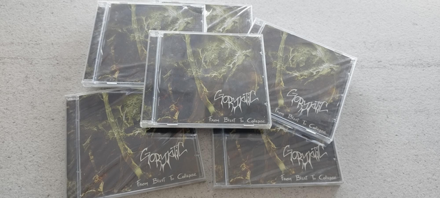 Goryptic : From Blast To Collapse 