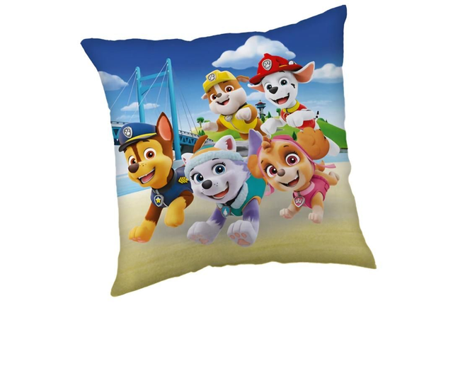 ✨️COUSSIN PAW PATROL 