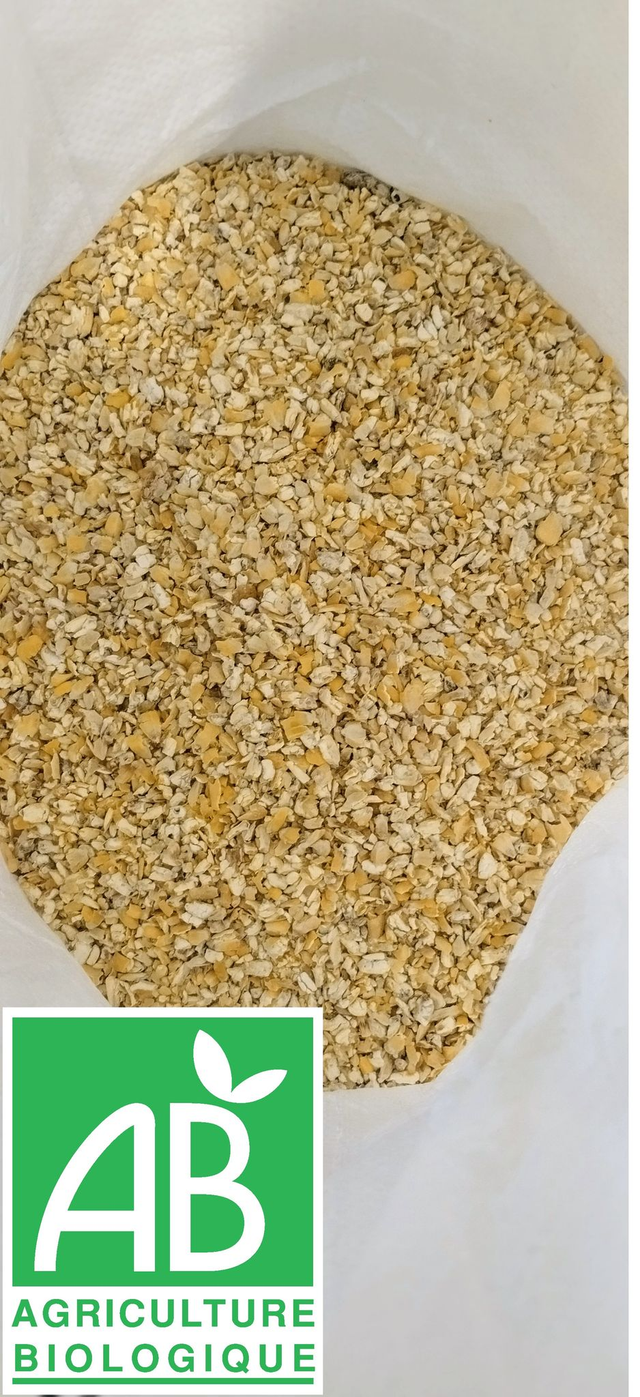 Maïs cassé bio