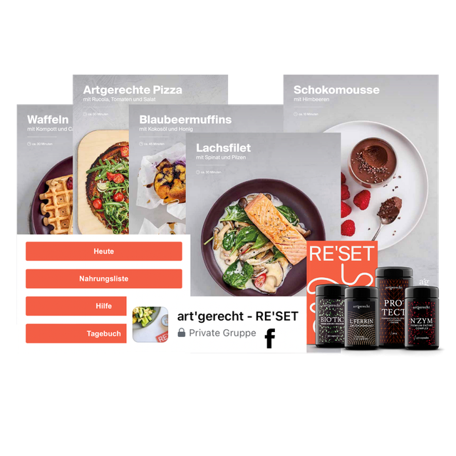 RE’SET: Ernährungskonzept & Darmsanierung