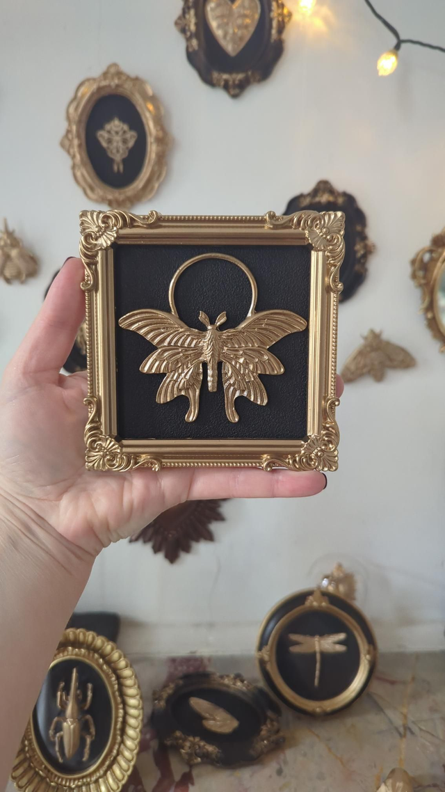 Cadre baroque carré papillon de nuit 