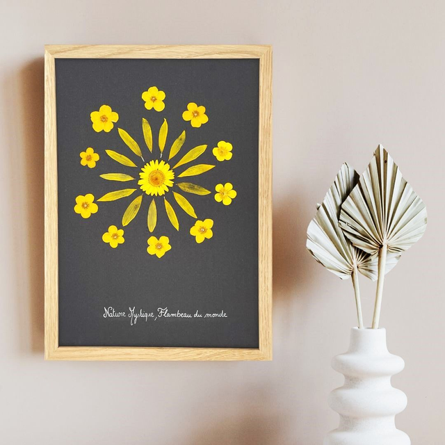 Herbier Flambeau du monde