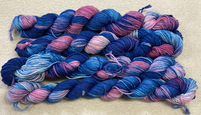 Limited Edition Merino/Nylon Mini Skein 6555