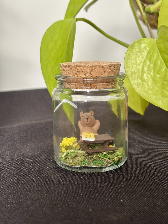 🍃 Mini terrarium verre - Édition été - Capybara