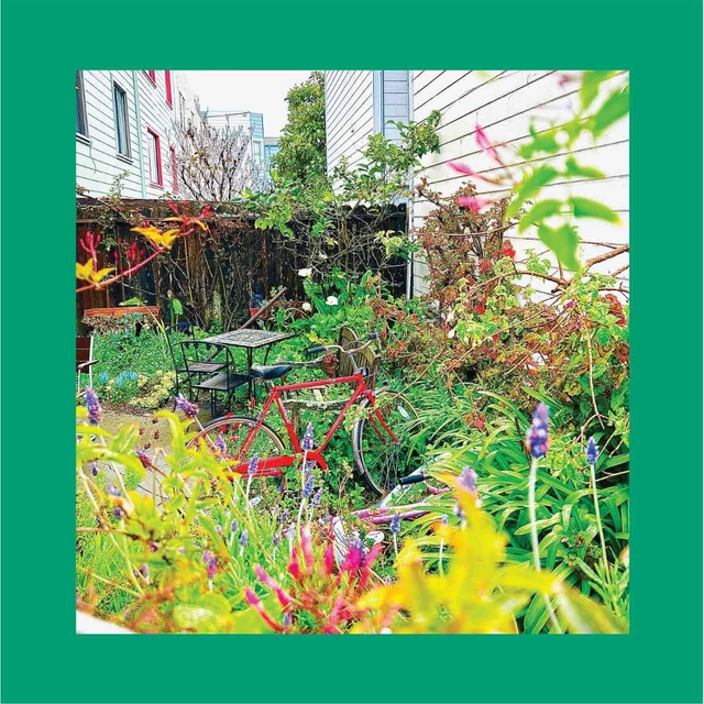 Reds, Pinks and Purples, The - Unwishing Well LP (Limited Edition White Vinyl)