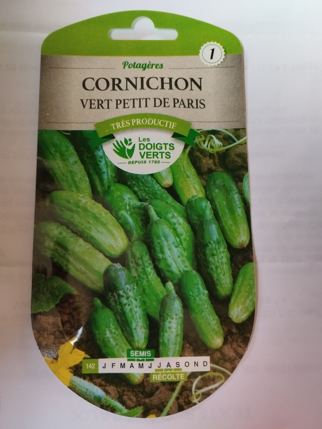 Cornichon Vert petit de Paris