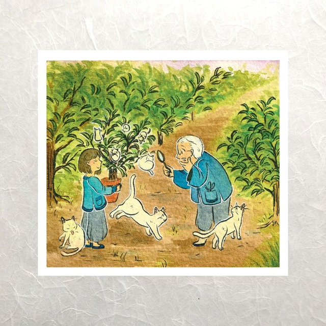 Most Curious, Indeed!