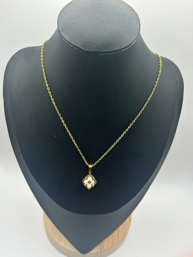 Stainless Steel Necklace (SSN51J)