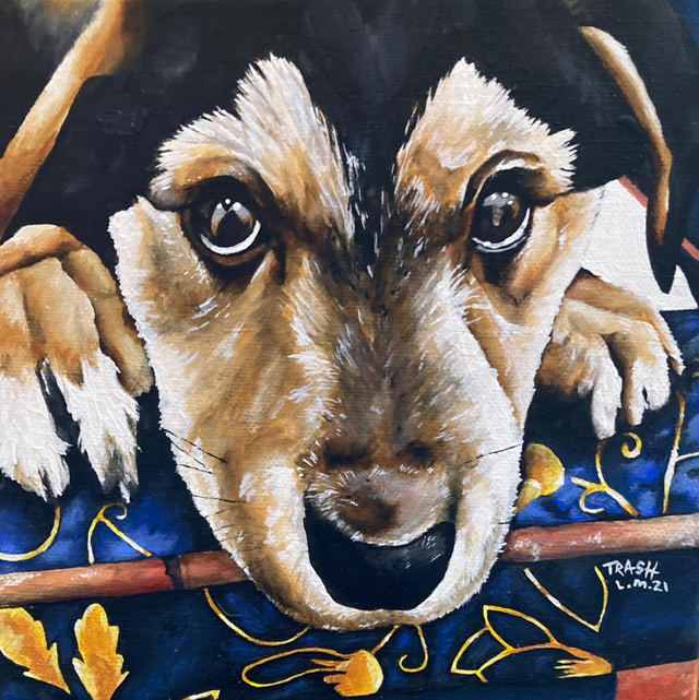 Puppy Limited Edition Print 