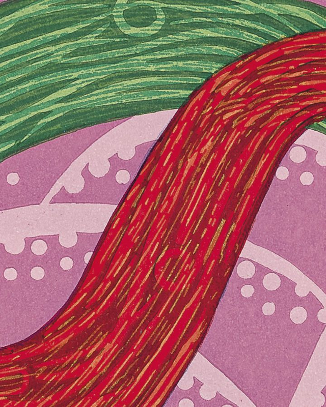 The Unexpected Coast