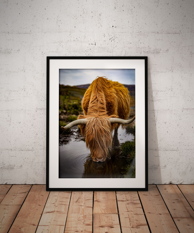 Thirsty, Isle of Skye