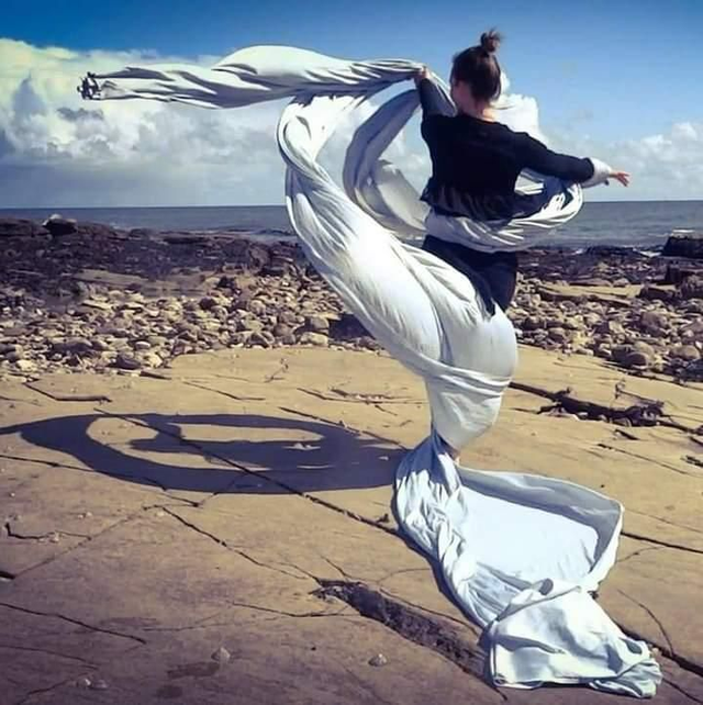 Emerging and Professional Artists Memberships