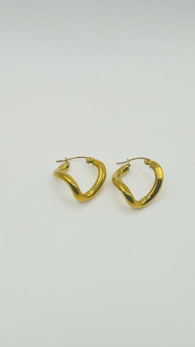 Stainless Steel Earrings (SSE10J)