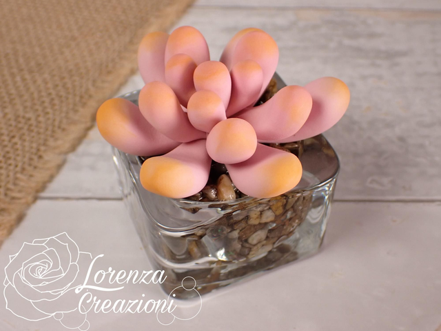 Pianta grassa rosa e punte sull'arancione, succulenta, artigianale modellata a mano in argilla polimerica (fimo). Made in Italy.
