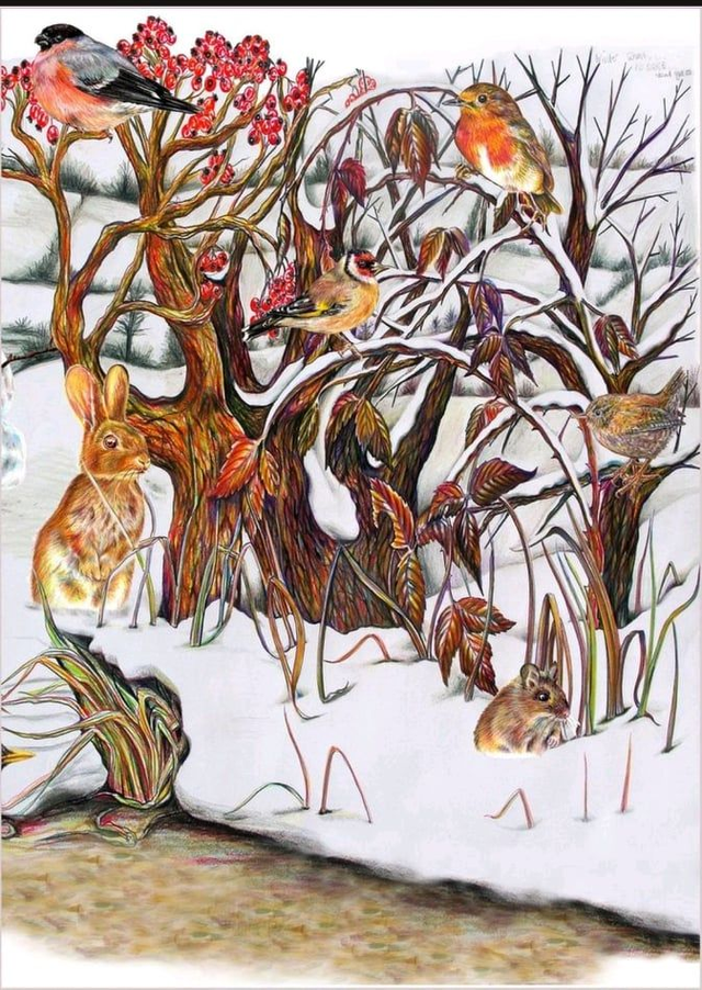 Seasons Tea Towel - 100% organic cotton - Winter