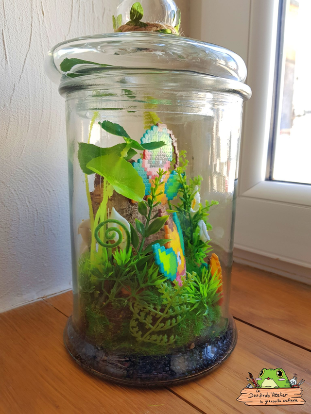 Terrarium Chétivolution