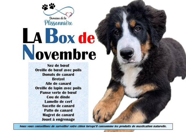 A - La Box de Novembre