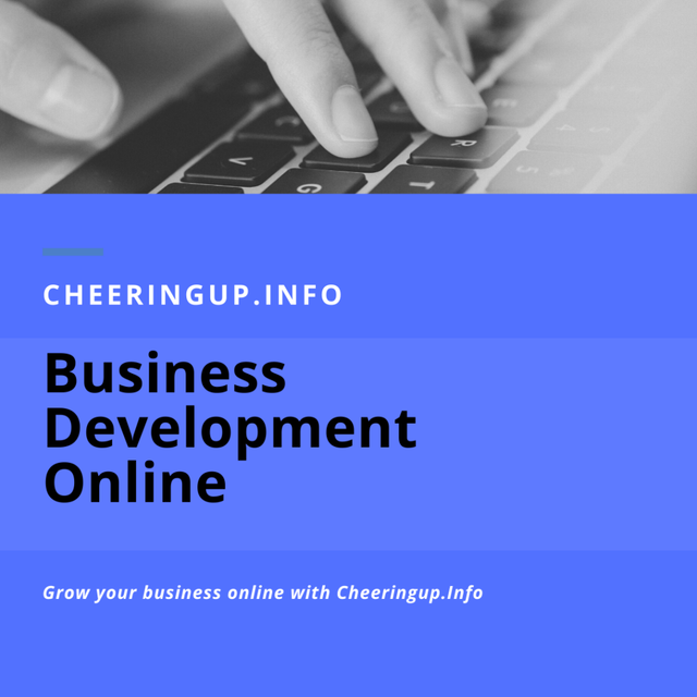 Online Business Development 