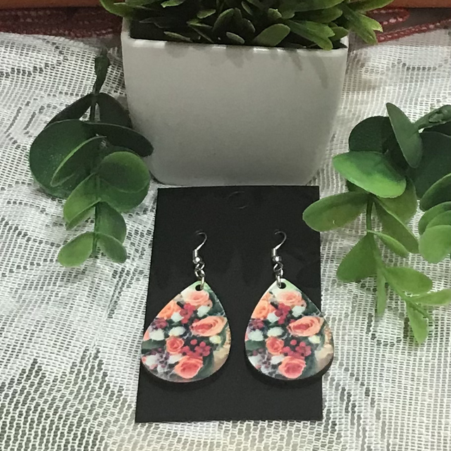 Wood Mix Coloured Dangling Earrings- MSDE09