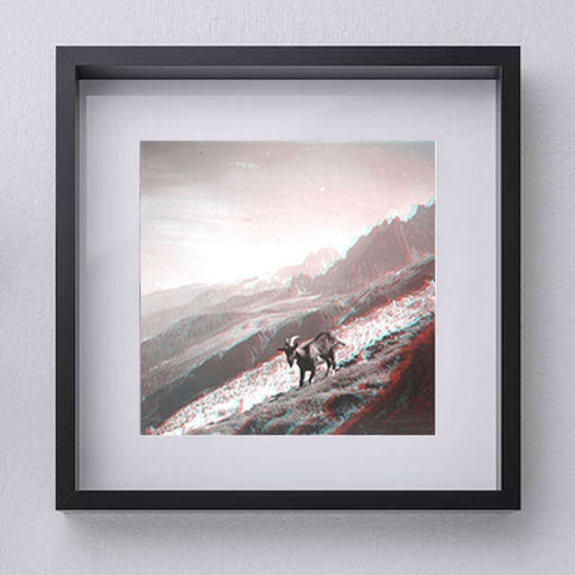 Chèvres devant le glacier des Bossons - 25x25 cm