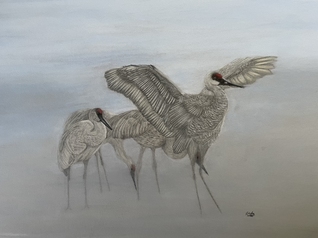 Cranes - Pick me, Pick me