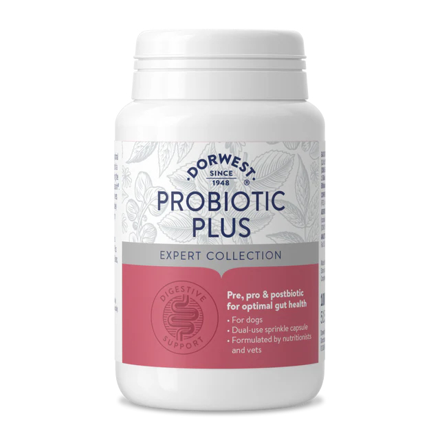 DORWEST PROBIOTIC PLUS FOR DOGS