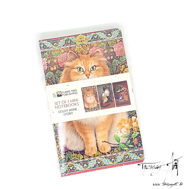 FLAMETREE - LOT 3 CARNETS DE NOTES CHATS Lesley Anne Ivory - TB008