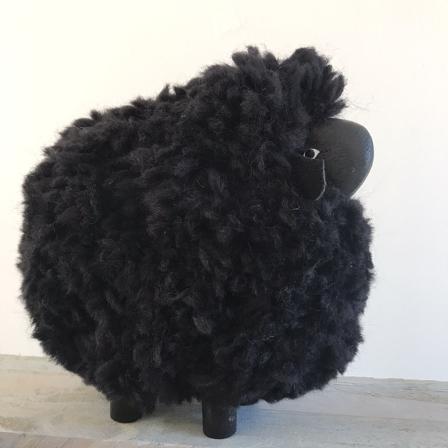 Petit mouton noir 
