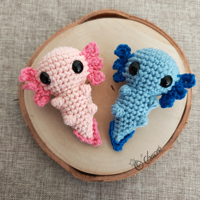 Axolotl