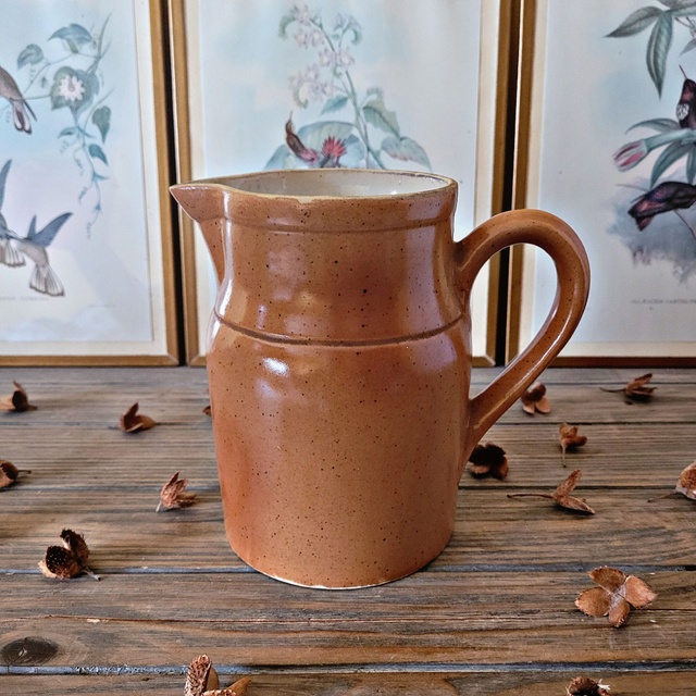 X Grand pichet Digoin Sarreguemines vintage en grès vernissé