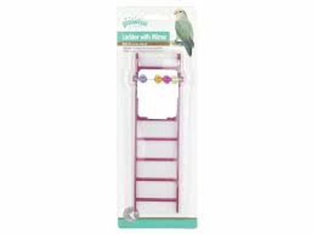 Pawise Ladder With Mirror