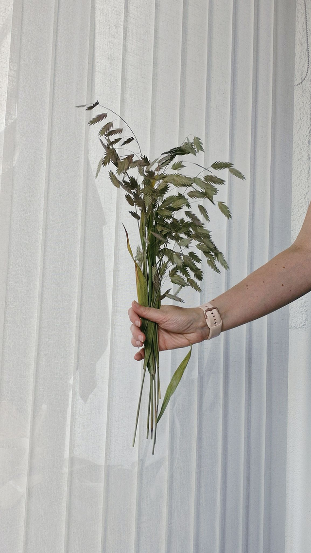 Vide atelier - Chasmanthium