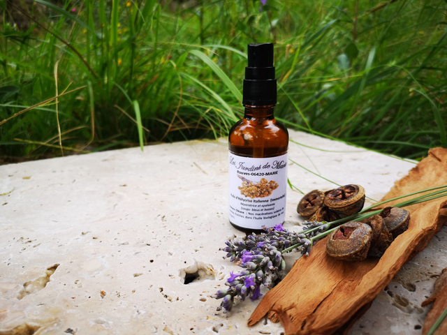 macérat d&#039;hélichryse italienne biologique. 