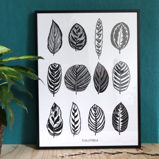 Linogravure A3 feuilles de Calathea