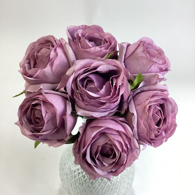 Carla Rose (Bundle 7) Lilac