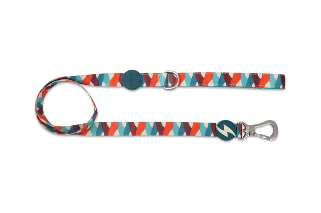 Mojo Leash