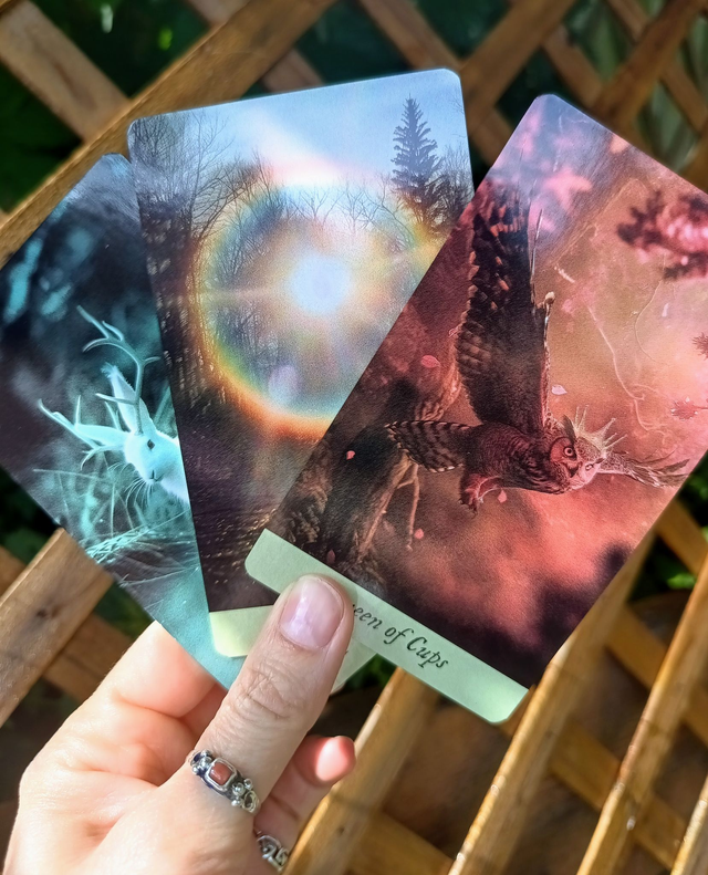Bird King Tarot: a deck with a post-apocalyptic mystical vibe * by Lida Pavlova & Khvost