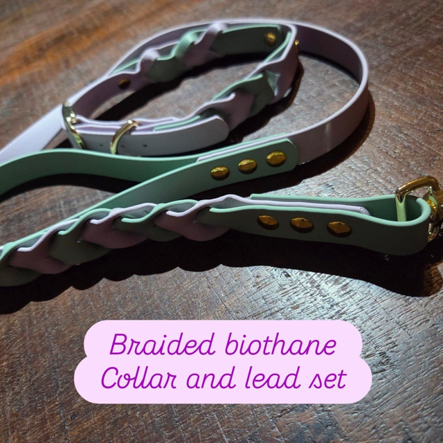 Braided biothane collar &amp; lead set in lilac/fern green  - to fit 15-18 inch neck &amp; 39 inch lead