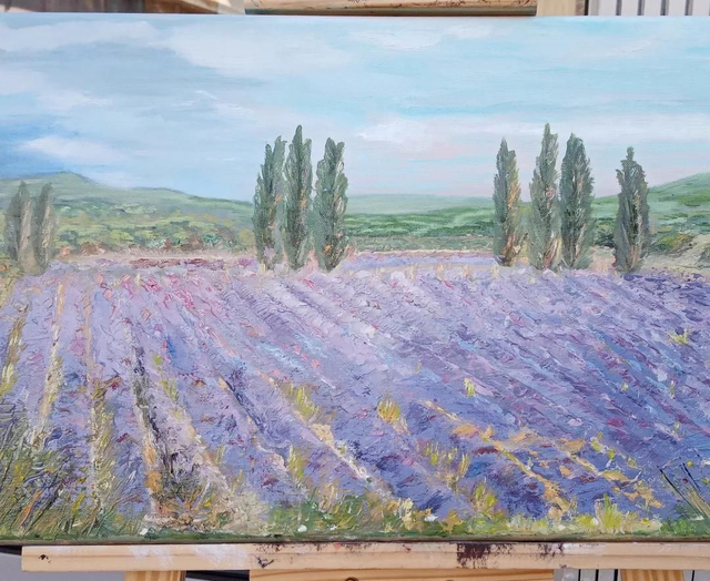 Les Lavandes En Provence 