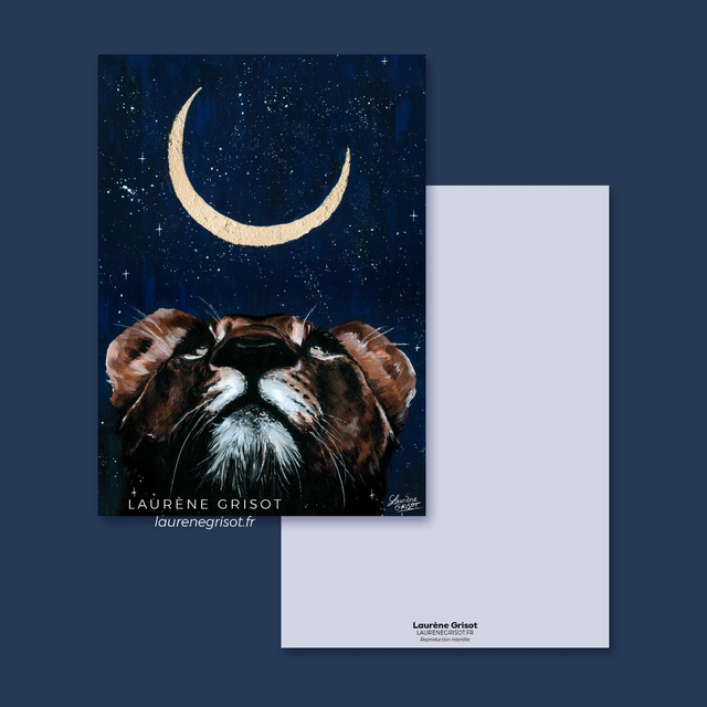 A look at the stars (postcard)