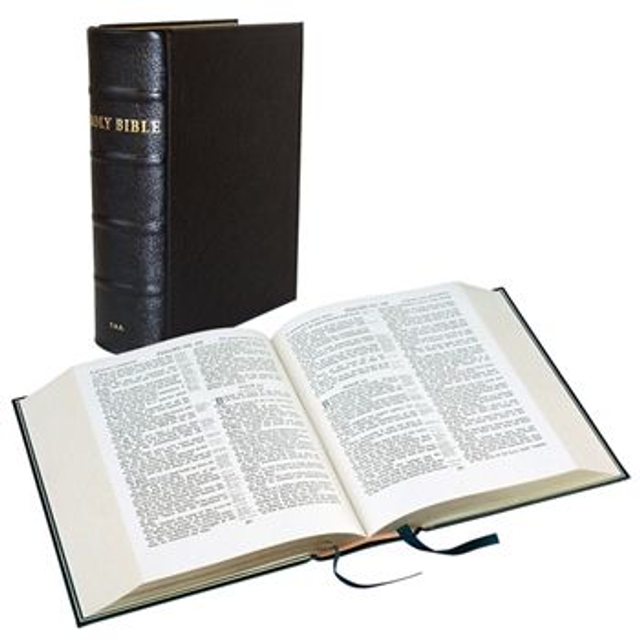 Pulpit Bible