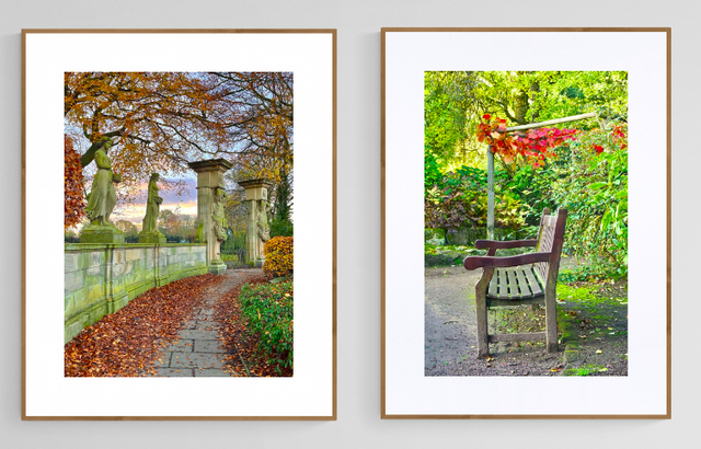 Autumn Leaves are falling - Print