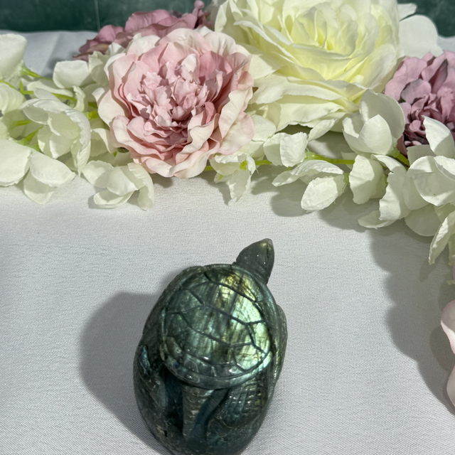 Flashy lab turtle carving