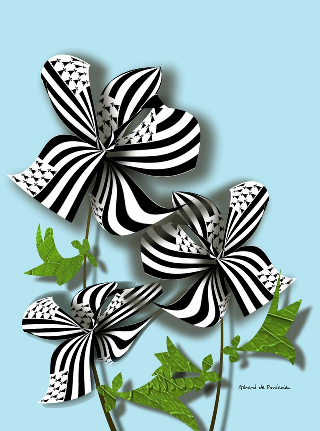 Hypnose Florale – Édition Limitée 50 exemplaires