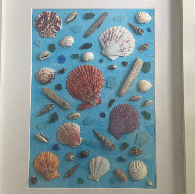 Handmade Coastal Seashell Shadow Box Frames (Set of 2)