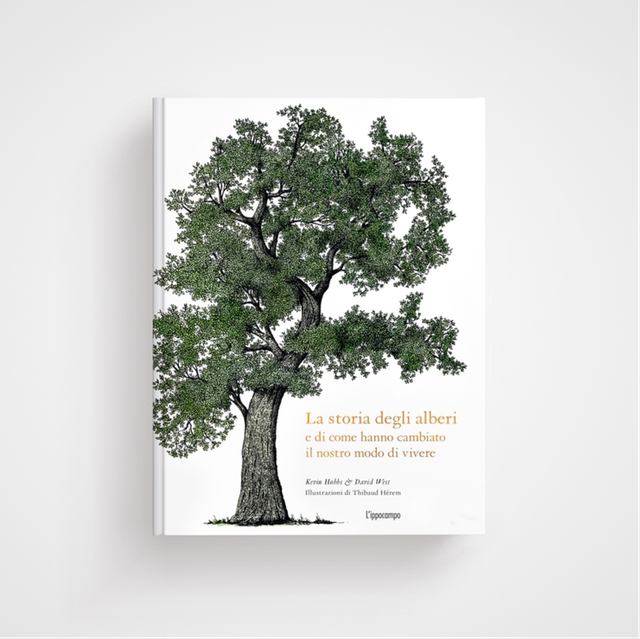 La Storia degli Alberi e di come abbiano cambiato il nostro modo di vivere