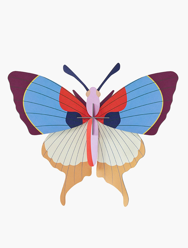 Plum Fringe Butterfly